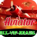 58ee VIP Brasil