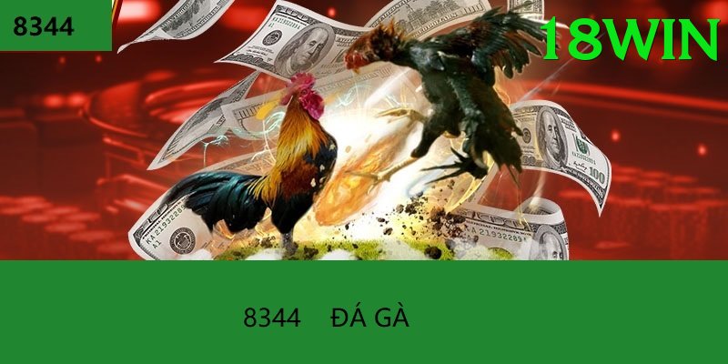 Đá Gà Trực Tiếp - Trải nghiệm tuyệt vời - Chơi thử