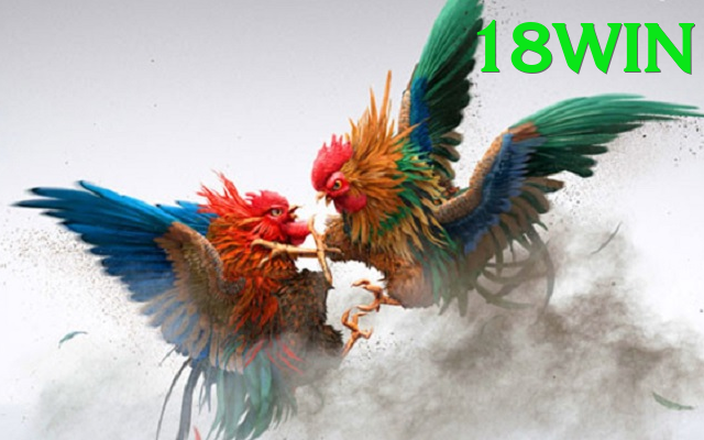 Đá Gà Trực Tiếp - 18win - Web game